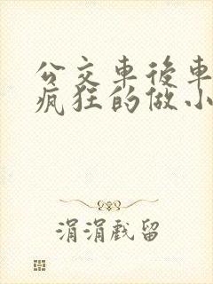 公交车后车座的疯狂的做小