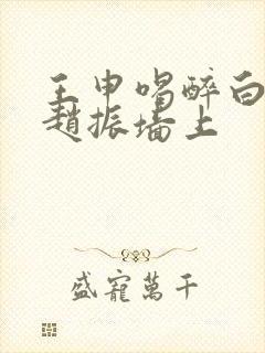 王申喝醉白洁被赵振墙上封面