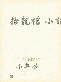 抬龙棺 小说