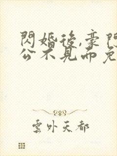 闪婚后,豪门老公不见面免费版