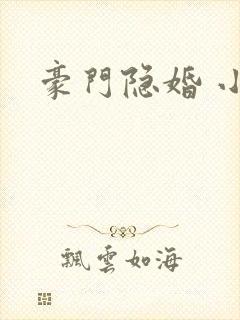 豪门隐婚 小说封面