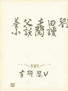 养父老田刘小满小说阅读封面