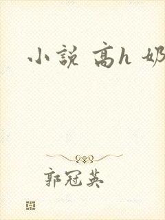 小说 高h 奶封面