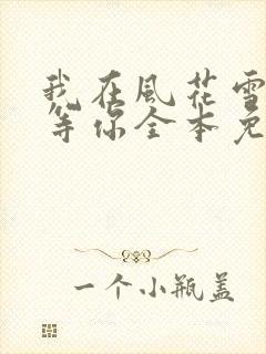 我在风花雪月里等你全本免费阅读封面