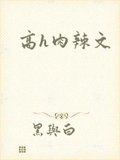 高h肉辣文