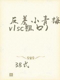 反差小青梅(1v1sc粗口)