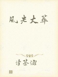 风光大葬封面