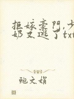 拒嫁豪门,少奶奶又逃了txt.小说免费阅读
