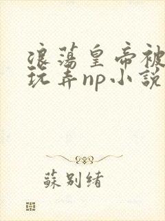 浪荡皇帝被多人玩弄np小说封面