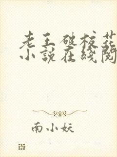 老王破校花沈瑶小说在线阅读
