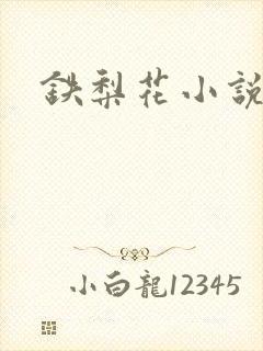 铁梨花小说封面