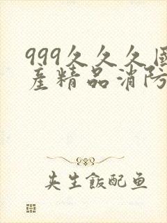 999久久久国产精品消防器材
