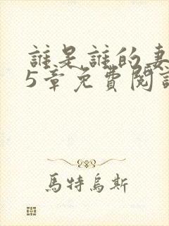 谁是谁的妻第15章免费阅读笔趣阁