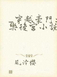 _穿越豪门之娱乐后宫小说