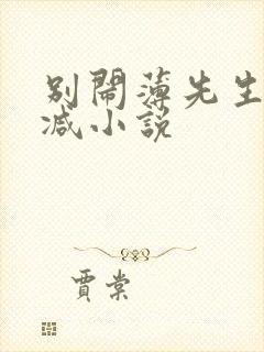 别闹薄先生无删减小说