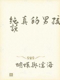 纯真的男孩子小说