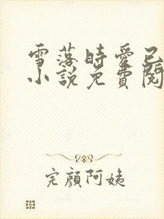 雪落时爱已落幕小说免费阅读全文封面
