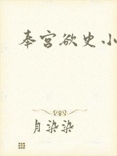 奉宫欲史小说封面