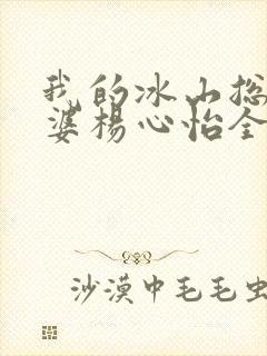 我的冰山总裁老婆杨心怡全集封面