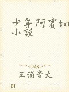 少年阿宾txt小说