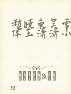 赵晓东吴雪晴郑伟王潇潇小说名字