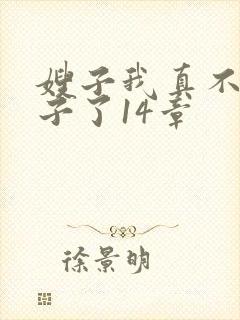嫂子我真不是傻子了14章封面