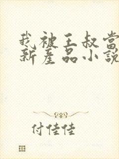 我被王叔当成了新产品小说免费阅读