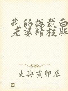 我的总裁白富美老婆精校版全本txt封面