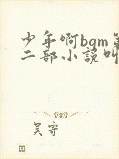 少年啊bgm第二部小说叫什么封面
