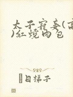 太子宠妾(高肉)红烧肉包