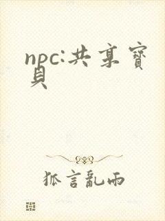 npc:共享宝贝