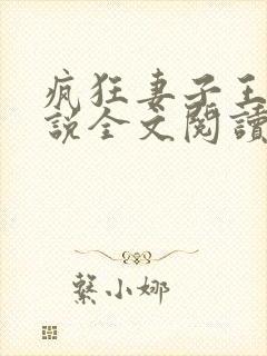 疯狂妻子王慧小说全文阅读