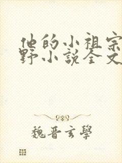 他的小祖宗甜又野小说全文免费阅读