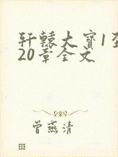 轩辕大宝1至720章全文封面