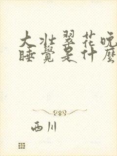 大壮翠花晚上不睡觉是什么电视剧