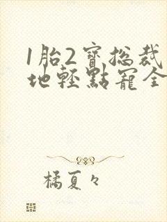 1胎2宝总裁爹地轻点宠全文免费阅读