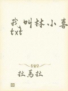 我叫林小喜小说txt