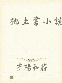 枕上书小说封面