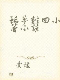 稀梦难回小说原著小说