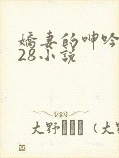 娇妻的呻吟1—28小说