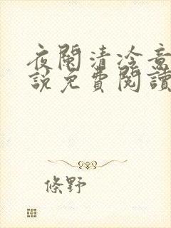 夜阑清冷意欢小说免费阅读