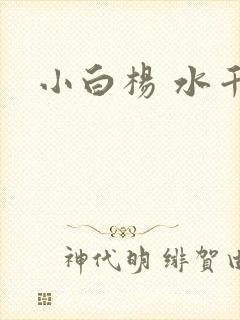 小白杨 水千丞