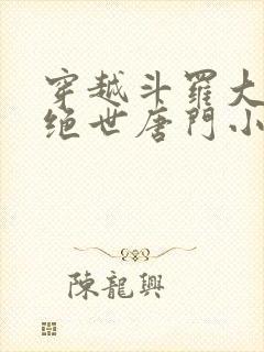 穿越斗罗大陆2绝世唐门小说