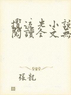揽流光小说免费阅读全文无弹窗