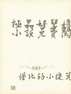 极品好儿媳老秦小说免费阅读封面