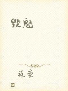 毁魅