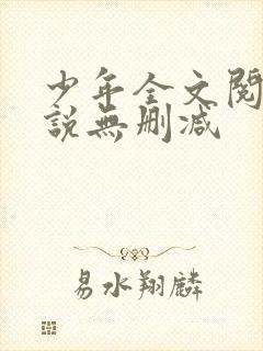 少年全文阅读小说无删减