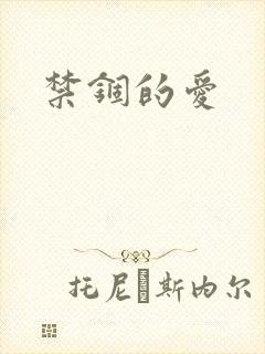 禁锢的爱