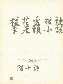 校花处破被灌满李老头小说封面