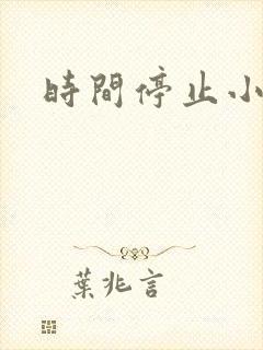 时间停止小说